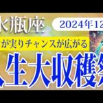 【みずがめ座】2024年12月の水瓶座の運勢：努力が報われ、柔軟さと冷静さが幸運を引き寄せる実りの多い月