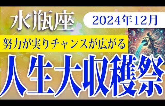 【みずがめ座】2024年12月の水瓶座の運勢：努力が報われ、柔軟さと冷静さが幸運を引き寄せる実りの多い月