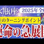 【みずがめ座】2025年の水瓶座の運勢：心の覚醒と運命の急展開が訪れ、成長と安定を手にする大変革の一年