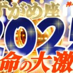 【水瓶座♒】2025年運命が激しく変わる事⚡衝撃の予測　ギリギリのラインで踏ん張ったからこそ、何があっても折れないし変化に強いのです　【神々のシナリオシリーズ】