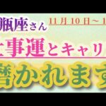 【水瓶座】 2024年11月10日から16日までのみずがめ座の仕事運。星とタロットで読み解く未来 #水瓶座 #みずがめ座