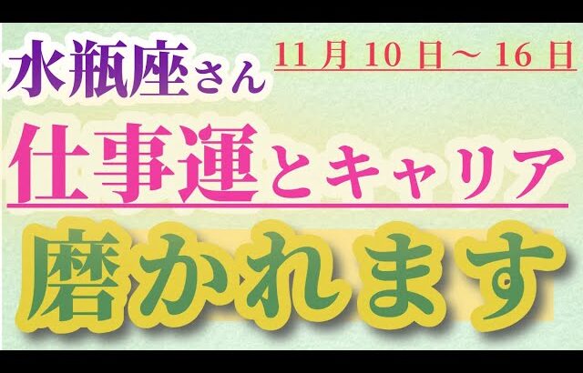 【水瓶座】 2024年11月10日から16日までのみずがめ座の仕事運。星とタロットで読み解く未来 #水瓶座 #みずがめ座