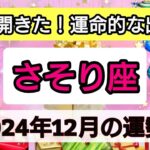 蠍座【2024年1２月の運勢】神展開きた！運命的な出来事💖神秘的メッセージ👑幸せを呼び込む！開運リーディング🌟