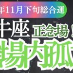 【牡牛座】2024年11月下旬おうし座に訪れる愛と調和の牡牛座の運命のメッセージ