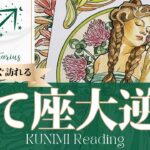 射手座♐問題が収束し良いことだけが残る大逆転🍀もうすぐ訪れる大逆転🍀どんな大逆転が🍀いつ頃訪れる？🌝月星座いて座さんも🌟タロットルノルマンオラクルカード