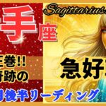 射手座♐驚きの幕開け!🌈奇跡の急好転🦄開運 Sagittarius 2024✨期待以上、鳥肌級です!～星座占い・風水・タロット＆オラクルカードリーディング～2024年11月後半