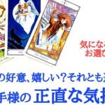 🌹恋愛タロット・オラクル占い🌹私からの好意、嬉しい？何とも思わない？それとも迷惑？お相手様のあなたへ正直な気持ち 片思い カップル 曖昧 複雑 年の差 復縁etc..