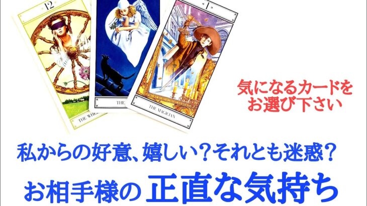 🌹恋愛タロット・オラクル占い🌹私からの好意、嬉しい？何とも思わない？それとも迷惑？お相手様のあなたへ正直な気持ち 片思い カップル 曖昧 複雑 年の差 復縁etc..