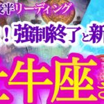 牡牛座  11月後半【超強力展開！不思議なほどツキが廻って来る】運命のエコひいき！　　おうし座　2024年１１月　タロットリーディング