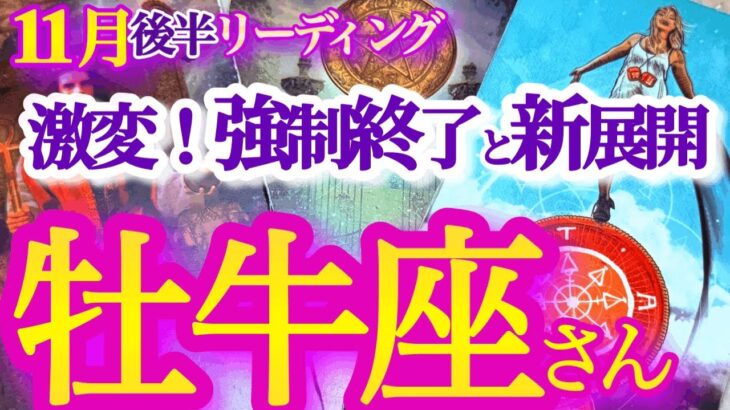 牡牛座  11月後半【超強力展開！不思議なほどツキが廻って来る】運命のエコひいき！　　おうし座　2024年１１月　タロットリーディング