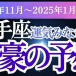 【射手座】2024年11月～2025年１月いて座のあなたへ射手座の 星とタロットが導く3か月の未来へ