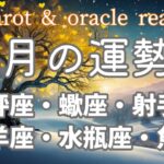 11月の運勢【天秤座，蠍座、射手座，山羊座，水瓶座，魚座】