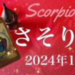 【さそり座】2024年12月♏️ 最盛期の到来！！浮上と復活！今までにない勢い、力はどこから？すべてが噛み合ったときの威力と底力