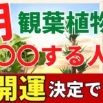 観葉植物と朝活で劇的に運気アップ！【風水アドバイザーがご紹介】