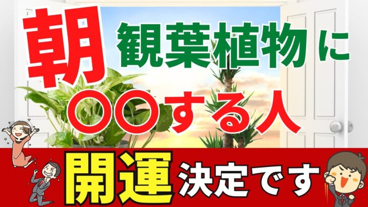 観葉植物と朝活で劇的に運気アップ！【風水アドバイザーがご紹介】