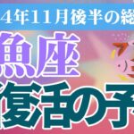 【魚座】2024年11月後半うお座の恋愛運、金運、健康運をタロットと占星術で鑑定