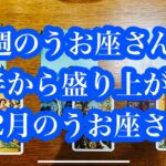 地味だけど重要な12月！今週のうお座さん&12月のうお座さん。December is a quiet but important month! December’s Pisces.