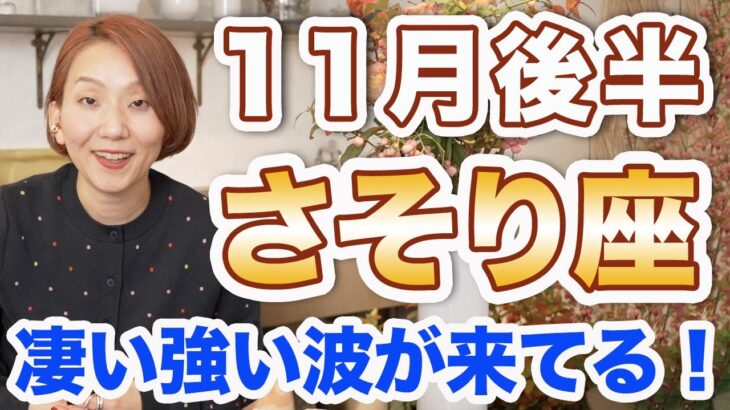 さそり座 11月後半の運勢♏️ / 凄い強い波が来てる🌈 最強カードが並んだ❗️パワフルに湧き上がる情熱は本物🔥【トートタロット & 西洋占星術】