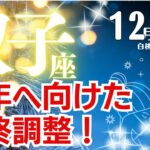 双子座♊️2024年12月★来年へ向けた最終調整！