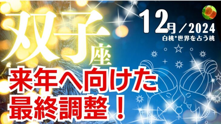 双子座♊️2024年12月★来年へ向けた最終調整！