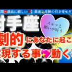 射手座🌹【ついに動き出す😭嬉しい急展開㊗️】見た瞬間から変化する❤️今がお辛くても最高の未来への流れを引き寄せステージアップの時🎇🌈深掘りリーディング#潜在意識#ハイヤーセルフ#射手座