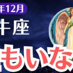 【牡牛座】2024年12月おうし座、孤独が運命を揺さぶる…試練の先に見つける奇跡の光