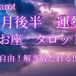 星座占い✨11月後半運勢【うお座さん】タロット前向きリーディング‼︎辛いは終わる！あなたは溢れる愛を持っている✨