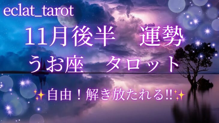 星座占い✨11月後半運勢【うお座さん】タロット前向きリーディング‼︎辛いは終わる！あなたは溢れる愛を持っている✨