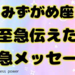 【水瓶座】この動画に出会ったことに意味があります❣️❗️＃タロット、＃オラクルカード、＃当たる、＃占い、＃緊急