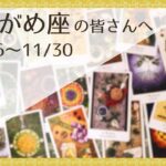 【みずがめ座♒️：11月後半】あなたは充分できている、自分に厳しくし過ぎない🌿全体運🌿人間関係🌿仕事運