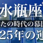 【みずがめ座】2025年（年間保存版）♒️やっぱりすごい強い！これまでとは比べものにならない…みんなが待ってるあなたの時代、遂に幕が開く