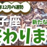 【双子座】2024年12月のふたご座の恋愛運・金運を占星術とタロットで占います。〜終わります〜