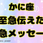 【蟹座】頑張ってきた蟹座さんの大きな決断の時です❣️❗️＃タロット、＃オラクルカード、＃当たる、＃占い、＃緊急