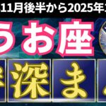 ♓️魚座♓️　2024年11月後半から2025年1月までの運勢　タロットと占星術で占ううお座の運勢 #満月 #新月　#年末年始