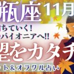 【水瓶座】見逃し注意!! 『変容の星、冥王星 11/20 水瓶座入り』超シンクロする重要メッセージ🌟✨【仕事運/対人運/家庭運/恋愛運/全体運】11月運勢  タロット占い