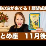 おとめ座♍️11月後半🔮強運の波が来てる！✨願望成就！思い切った決断も！