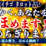 ★忖度なしタロット占い★とにかく、あなたを褒めます！褒めちぎります！★占い芸人★