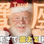 【蟹座】12月の運勢🌈神回🎅幸せのキャリーオーバー発生中🎉鳥肌級の豊かさ到来⁉️タロット占い