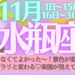 【水瓶座♒️さん💖11月】諦めなくて良かった〜🎉景色が変わる🍀ガラリと変わる✨楽園が見えてくる🏵️