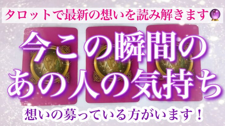 【最新✨恋愛💖】今この瞬間のあの人の気持ち💖タロットでお気持ちを詳細にリーディングします🔮💫