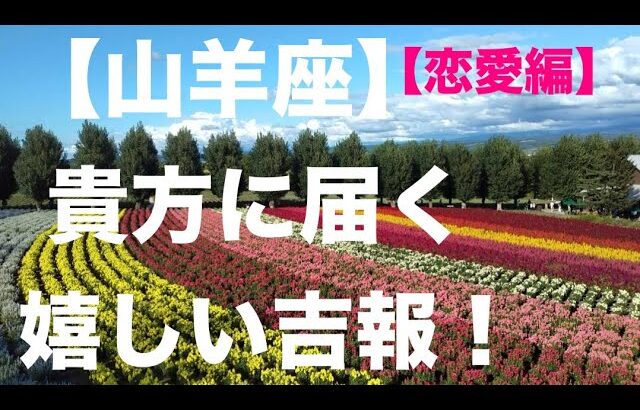 山羊座♑️【恋愛🥰】心が通じ合う素敵な吉報が楽しみです💝