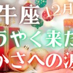 【牡牛座】✨🎉ようやく来ました🤩✨豊かさへの波🌊✨12月運勢🔮✨