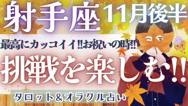 【射手座】個人鑑定級!! 辛口かもしれません!! それでも流れは変わっていきます!!! 🌈✨【仕事運/対人運/家庭運/恋愛運/全体運】11月運勢  タロット占い