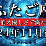 ふたご座♊︎2024年11月後半 心の浄化と癒しの世界へ🕊️疑問が消え優しさで満たされる🌠Gemini tarot  reading