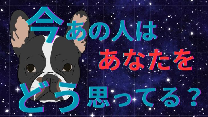 あの人にあなたの事を聞きました。本音暴露❤️恋愛タロット占い ルノルマン オラクルカード 細密リーディング