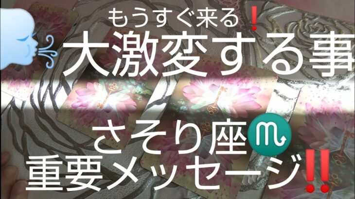 さそり座♏️【見た時がタイミング‼️】新しい人生の形‼️引き寄せる幸せ達🌈#スピリチュアル #カードリーディング #占い #幸運 #オラクルカード #運命#女神#さそり座 #蠍座#個人鑑定級#人生相談