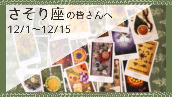 【さそり座♏️：12月前半】直感がテーマ、周りの言うことに捉われない自分になっていける🌿全体運🌿人間関係🌿仕事運