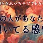 【🌹これが本心だ‼️🫣隠してた気持ちが爆発💥】あの人があなたに抱いてる感情💐