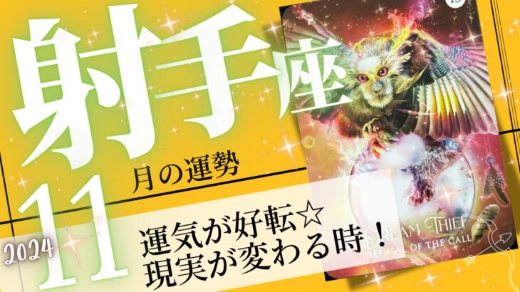 射手座♐️ 2024年11月の運勢🌈自信を持って開運❗️✨夢や理想にグンと近づく💖癒しと気付きのタロット占い