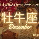 牡牛座♉️2024年12月の運気⭐️吉報🎉🎉🎉苦労して来た人生が楽しい人生に切り変わります😊✨